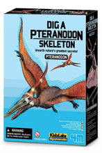 4M | Dig A Pteranodon Skeleton | 48603459
