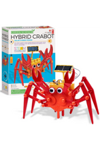 4M | Hybrid Crabot | 48603448