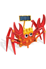 4M | Hybrid Crabot | 48603448