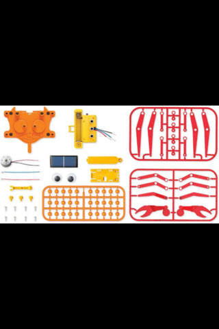 4M | Hybrid Crabot | 48603448