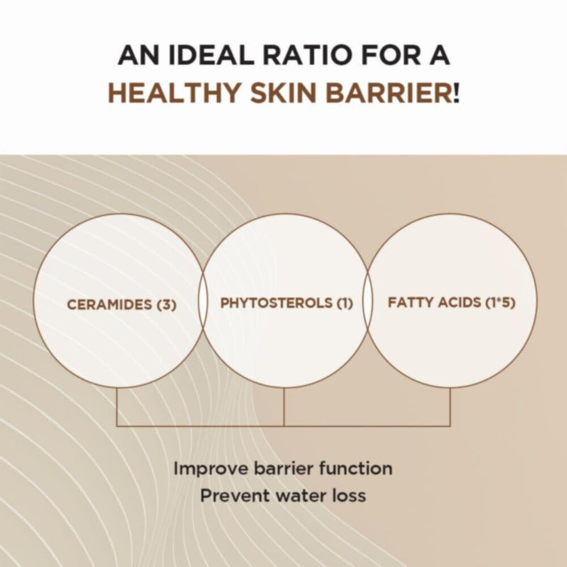SKIN1004 | Madagascar Centella Probio-Cica Intensive Ampoule 50Ml