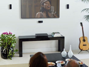 BOSE | UB-20 Series II Wall/Ceiling Bracket Black | 722141-0010