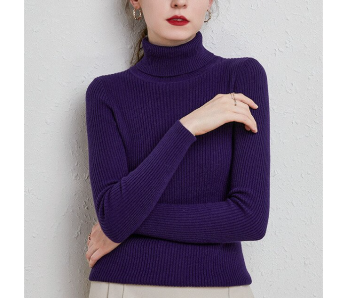 6611 Autumn Turtle Neck Cashmere Winter Pullover Sweaters For Women Assorted | JPK4139
