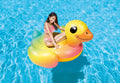 INTEX | Baby Duck Ride-On Inflatable Pool Float | 42157556