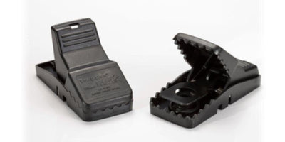 BELL | Trapper Mini Rex Box of 24 | BELL0010-ST2024