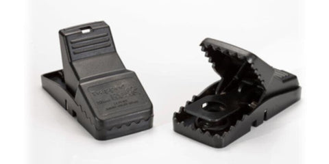 BELL | Trapper Mini Rex Box of 24 | BELL0010-ST2024