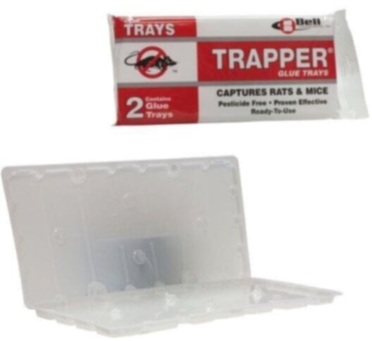 BELL | Trapper Rat Display Pack of 2 | BELL0011-TR2724