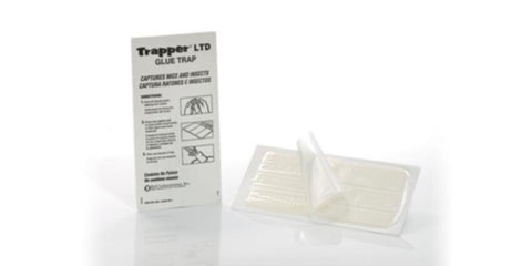 BELL | Trapper LTD EMEA Box of 72 | BELL0014-TL2518