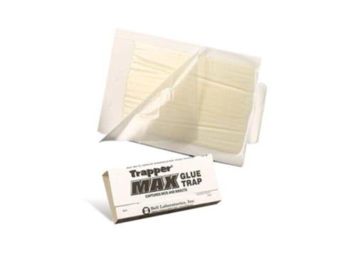 BELL | Trapper Max Box of 72 | BELL0015-TL2586