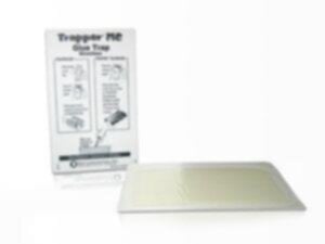 BELL | Trapper MC Glue Trap Box of 48 | BELL0020-MC2600