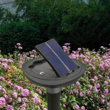 INTEX | Lawn Brite Solar Led Landscape Lght | 42128689