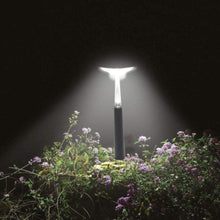 INTEX | Lawn Brite Solar Led Landscape Lght | 42128689