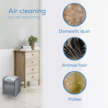 BEURER | Air Washer, Humidifier & Air Purifier Black | LW 230
