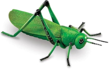 LEARNING RESOURCES UK| Jumbo Insects (3+ Years) | LER0789