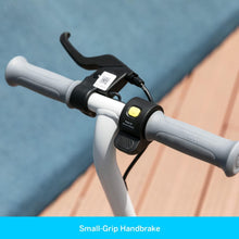 SEGWAY | ZING C8 Ninebot Ekickscooter Foldable Electric Scooter for 6-12 Years  | S22AA00001224