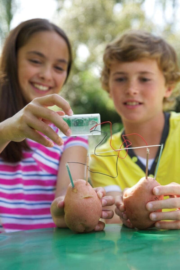 4M | Green Science Potato Clock | 48603275