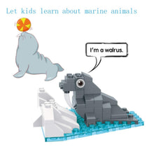 BANBAO | Qnimals Assorted Building Toy | 6665