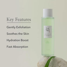 BEAUTY OF JOSEON | Green Plum Refreshing Dynasty Toner AHA+BHA