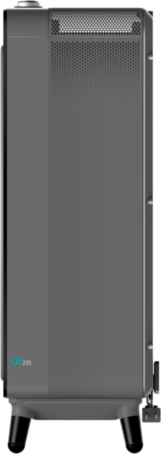 BISSELL | Air Purifier Black/Medium Grey | 30011