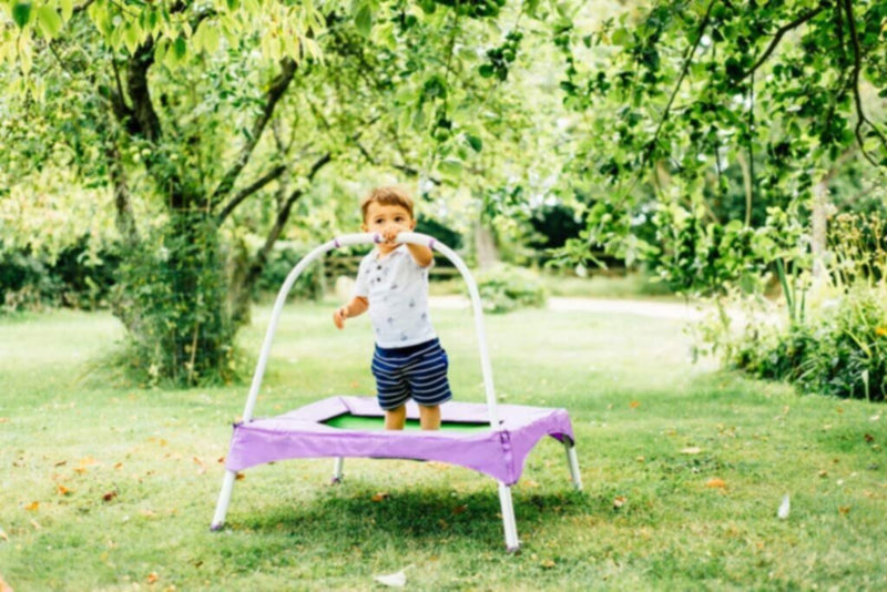 PLUM | Square Junior Bouncer with Handle Purple Age 18M+ | 101401A82