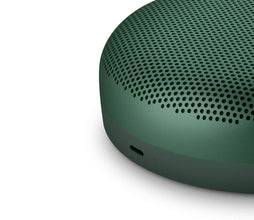 B&O | BEOSOUND A1 2ND GEN Waterproof Bluetooth Speaker with Voice Assist & Alexa Integration Green | TE0155938