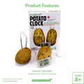 4M | Green Science Potato Clock | 48603275