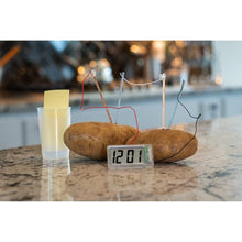 4M | Green Science Potato Clock | 48603275