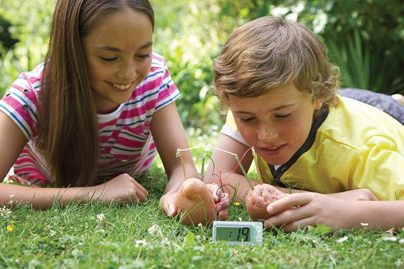 4M | Green Science Potato Clock | 48603275