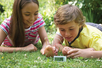 4M | Green Science Potato Clock | 48603275