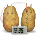 4M | Green Science Potato Clock | 48603275