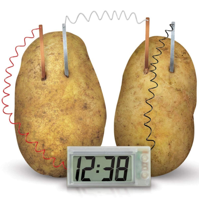 4M | Green Science Potato Clock | 48603275