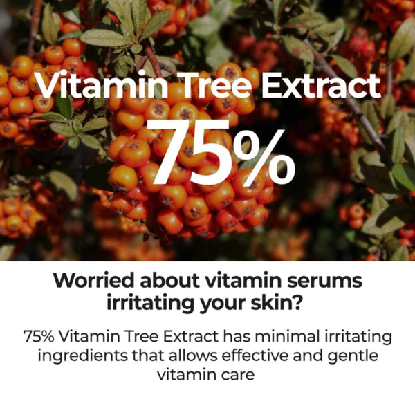 Numbuzin | No.5 Goodbye Blemish Serum