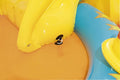 BESTWAY | Lil' Champ Play Center 171