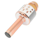 Wster Wireless Microphone Assorted Colour WS-858 | JPA2192