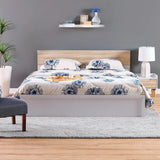 DANUBE | Aurora 150x200 Queens Bed White Natural Oak | 810100100321