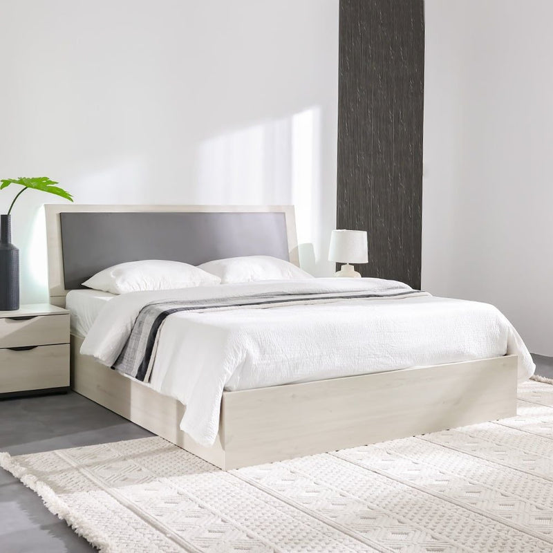 DANUBE |  Pletora 180x200 King Bed with LED Lights and Hydraulic Under Bed Storage Grey Oak | 810100100709