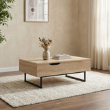 DANUBE | Costal Lift Top Coffee Table With Drawer Multicolor | 810302600786