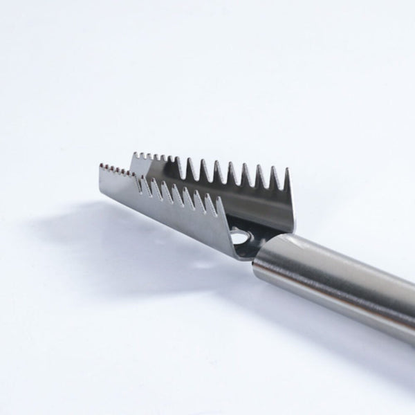 ZONDA | S/Steel Fish Scaler | 812000304787
