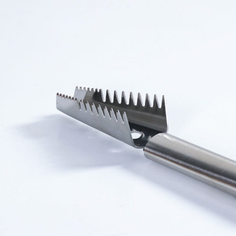 ZONDA | S/Steel Fish Scaler | 812000304787