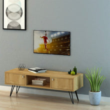 DANUBE | Savino TV Unit for TVs upto 55 Inches with Storage | 812700300205