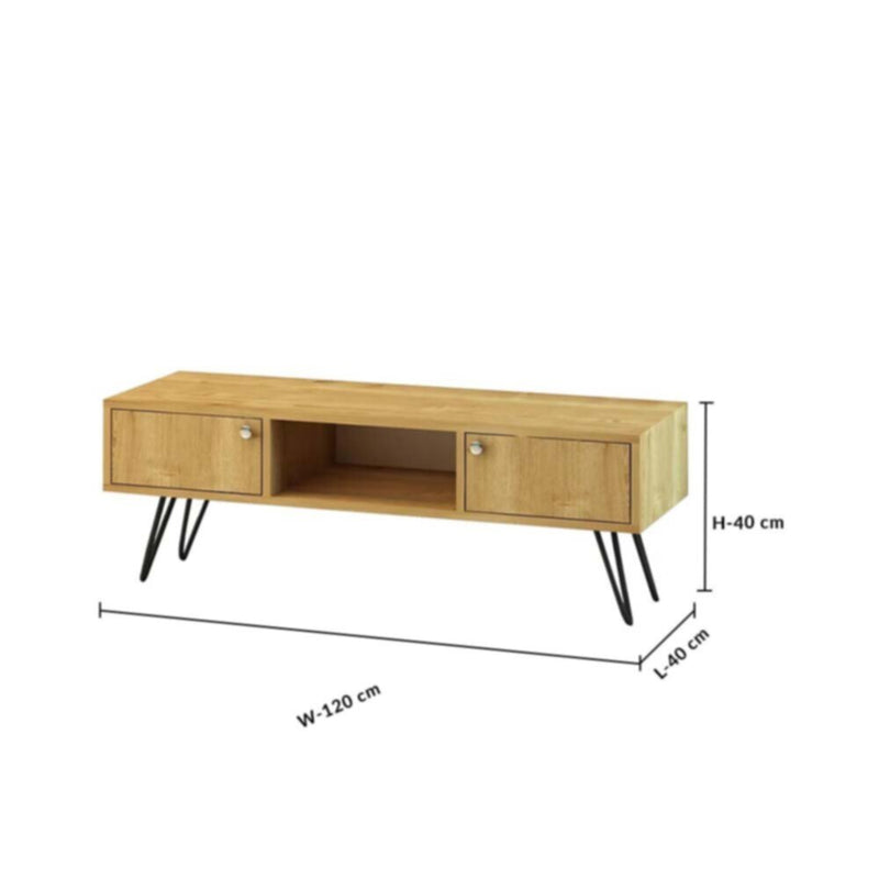 DANUBE | Savino TV Unit for TVs upto 55 Inches with Storage | 812700300205