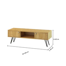 DANUBE | Savino TV Unit for TVs upto 55 Inches with Storage | 812700300205