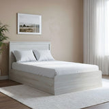 DANUBE | Zirco 120x200 Single Bed with Storage-White | 813300100075