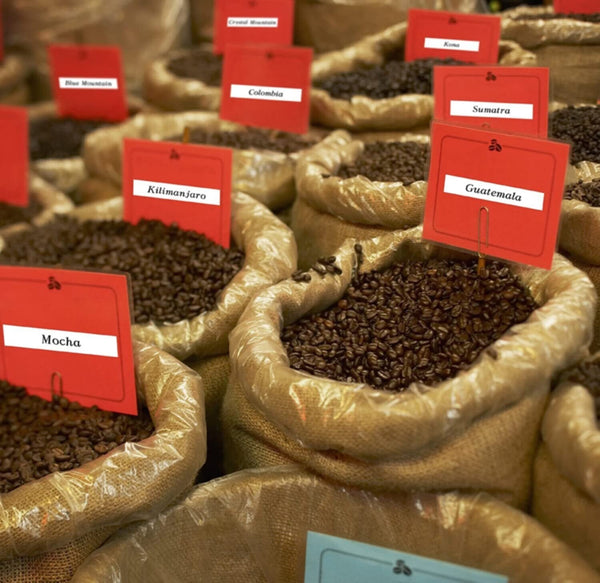 CASIO | Label Printer Tape Black and White 18mm | XR-18WE1-W-DJ1