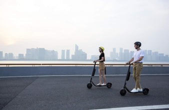 SEGWAY | E45E Ninebot Kickscooter Foldable Electric Scooter for 14+ Years | S22AA00000222