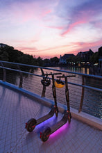 SEGWAY | E45E Ninebot Kickscooter Foldable Electric Scooter for 14+ Years | S22AA00000222