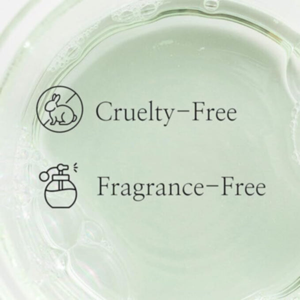 BEAUTY OF JOSEON | Green Plum Refreshing Dynasty Toner AHA+BHA