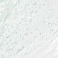 BEAUTY OF JOSEON  | Green Plum Refreshing Cleanser 100ml (3.38 fl.oz.)
