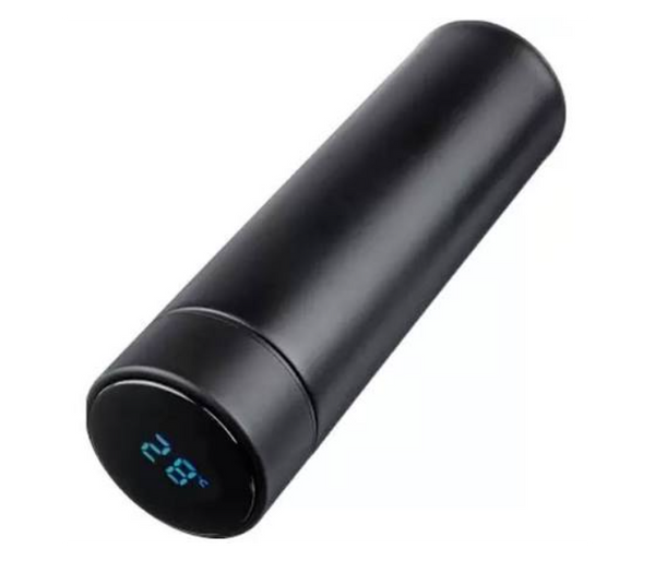 Water bottle with temperature display | JPO6580