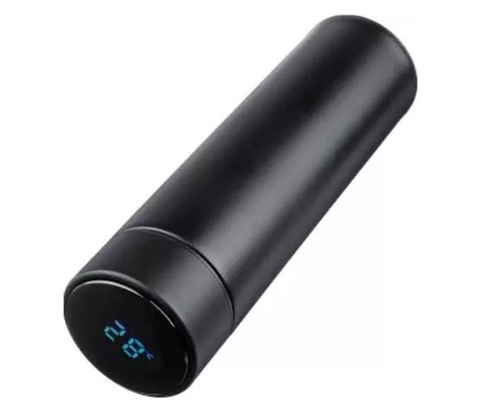 Water bottle with temperature display | JPO6580